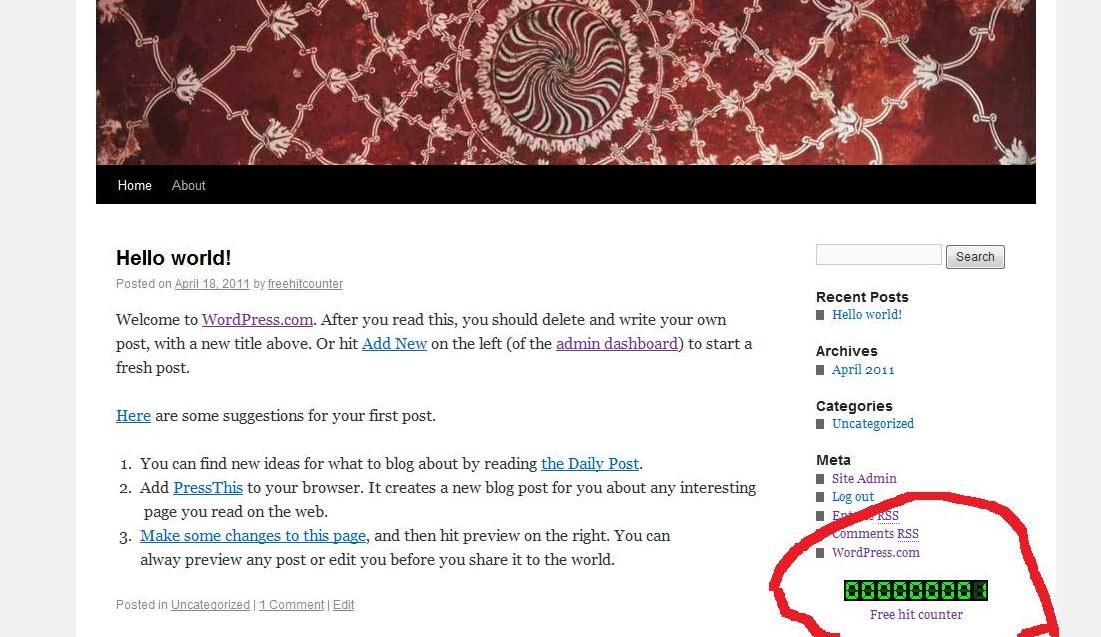 Website Hit Counter